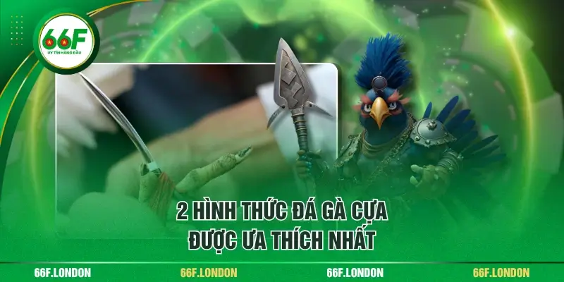 Trực Tiếp Đá Gà Cựa Kịch Tính Tới Từng Giây Cuối Cùng - TEBAJO