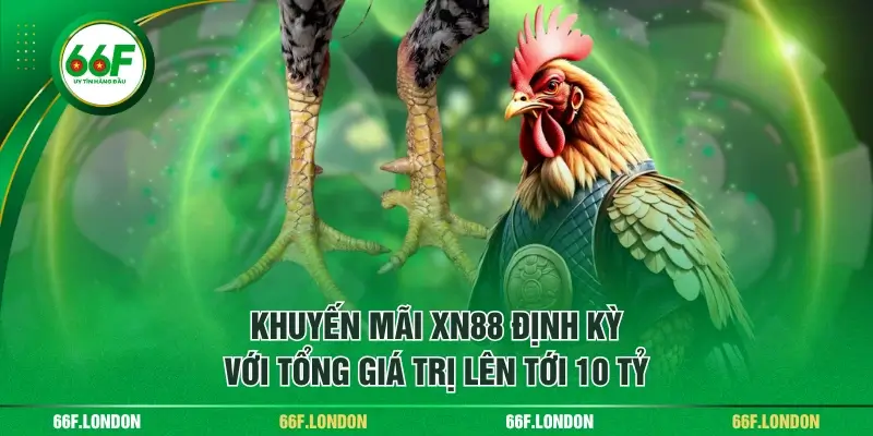 Khám Phá Các Loại Chân Gà Vảy Rồng - Ưu Thế Khi Chiến Đấu - TEBAJO