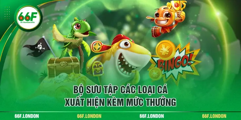 Trải Nghiệm Rồng Bùng Nổ - Săn Thưởng Lớn, Thanh Toán Nhanh - TEBAJO