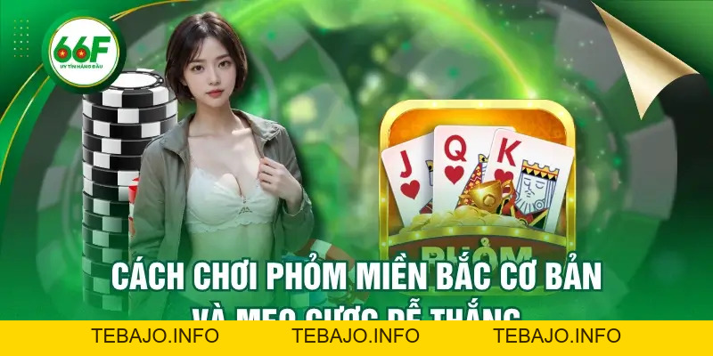 Cách Chơi Phỏm Miền Bắc Cơ Bản Và Mẹo Cược Dễ Thắng - TEBAJO