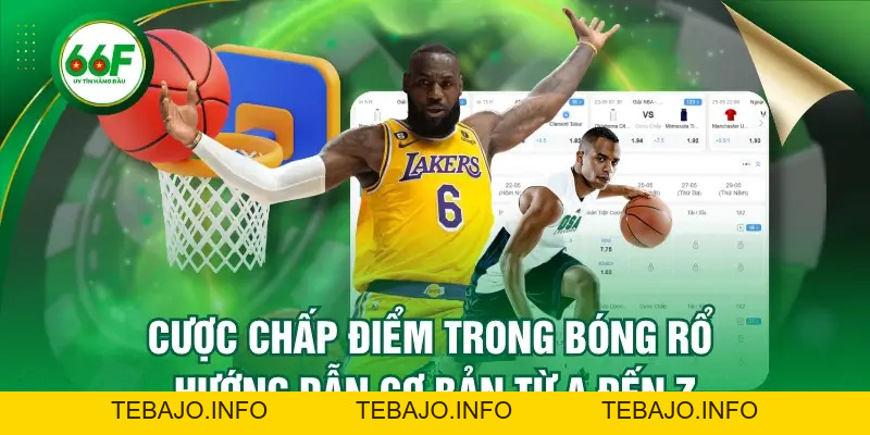 Cược Chấp Điểm Trong Bóng Rổ - Hướng Dẫn Cơ Bản Từ A Đến Z - TEBAJO