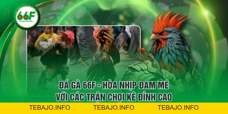 66F - Link 66F.Com Mới Nhất 2026 | Tặng 66K Khi Đăng Ký 🎖️ - TEBAJO