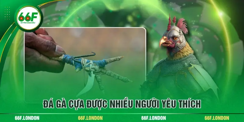 Trực Tiếp Đá Gà Cựa Kịch Tính Tới Từng Giây Cuối Cùng - TEBAJO