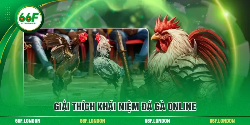 Đá Gà Online - Tất Tần Tật Thông Tin Hữu Ích Cho Người Mới - TEBAJO