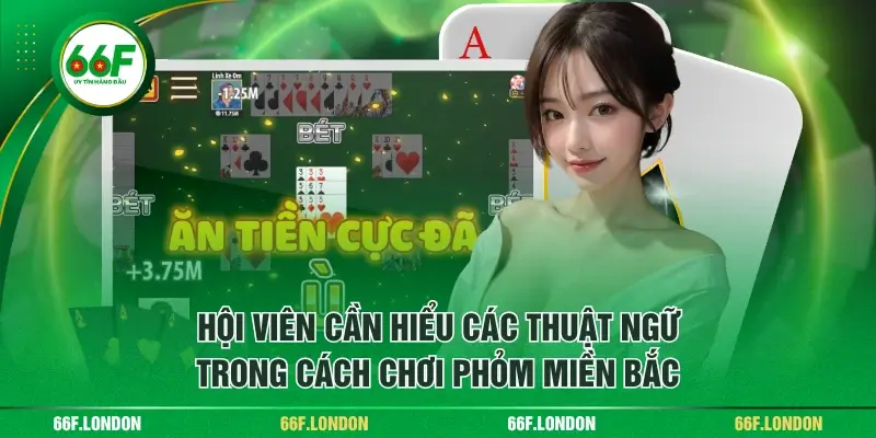 Cách Chơi Phỏm Miền Bắc Cơ Bản Và Mẹo Cược Dễ Thắng - TEBAJO