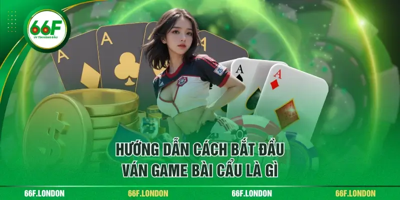 Bài Cẩu Là Gì? Hướng Dẫn Quy Luật Chơi Từ A - Z Cho Tân Thủ - TEBAJO