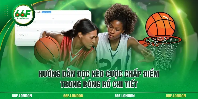 Cược Chấp Điểm Trong Bóng Rổ - Hướng Dẫn Cơ Bản Từ A Đến Z - TEBAJO
