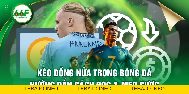 Kèo Đồng Nửa Trong Bóng Đá - Hướng Dẫn Cách Đọc & Mẹo Cượ - TEBAJO