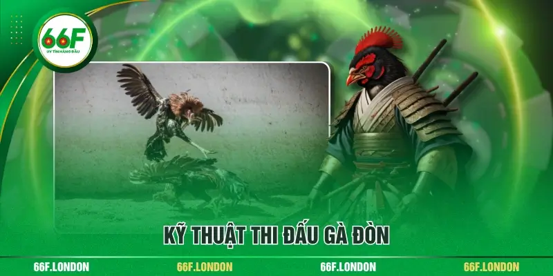 Phổ Cập Luật Đá Gà Đòn Và Kỹ Thuật Đỉnh Cao Cho Người Mới - TEBAJO
