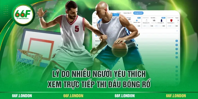 Tổng Hợp 4 Giải Bóng Rổ Quốc Tế Hay Không Nên Bỏ Qua - TEBAJO
