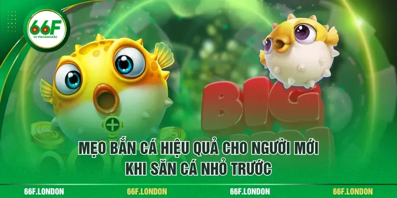 Phổ Cập 5 Mẹo Bắn Cá Hiệu Quả Cho Người Mới Từ Cao Thủ - TEBAJO
