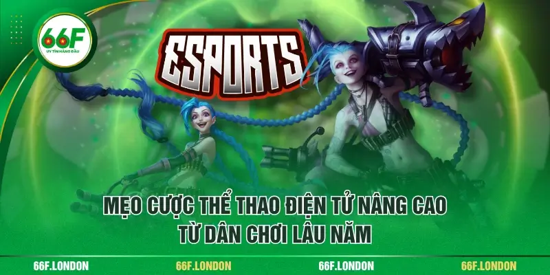 Tổng Quan Về Cược E-Sports - Tìm Hiểu Từ Cơ Bản Đến Nâng Cao - TEBAJO