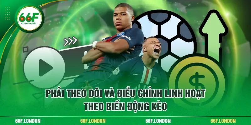 Kèo Đồng Nửa Trong Bóng Đá - Hướng Dẫn Cách Đọc & Mẹo Cượ - TEBAJO