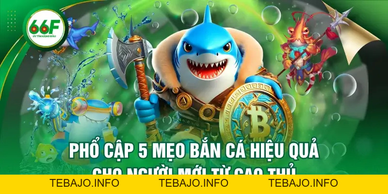 Phổ Cập 5 Mẹo Bắn Cá Hiệu Quả Cho Người Mới Từ Cao Thủ - TEBAJO