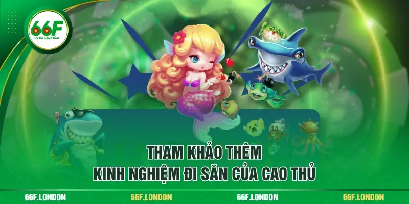 Trải Nghiệm Rồng Bùng Nổ - Săn Thưởng Lớn, Thanh Toán Nhanh - TEBAJO
