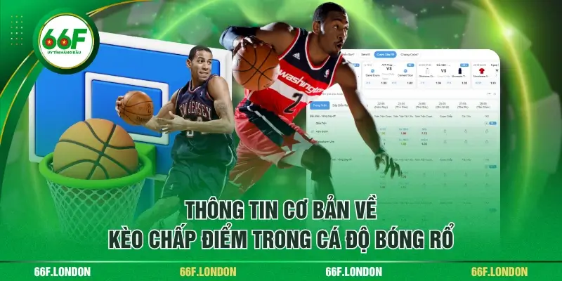 Cược Chấp Điểm Trong Bóng Rổ - Hướng Dẫn Cơ Bản Từ A Đến Z - TEBAJO