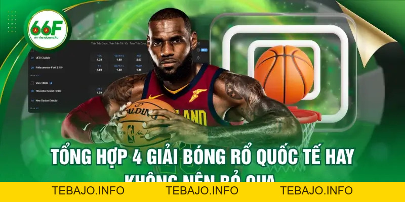 Tổng Hợp 4 Giải Bóng Rổ Quốc Tế Hay Không Nên Bỏ Qua - TEBAJO