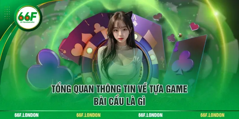Bài Cẩu Là Gì? Hướng Dẫn Quy Luật Chơi Từ A - Z Cho Tân Thủ - TEBAJO