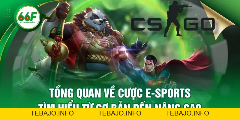 Tổng Quan Về Cược E-Sports - Tìm Hiểu Từ Cơ Bản Đến Nâng Cao - TEBAJO