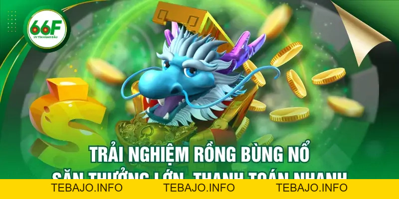 Trải Nghiệm Rồng Bùng Nổ - Săn Thưởng Lớn, Thanh Toán Nhanh - TEBAJO