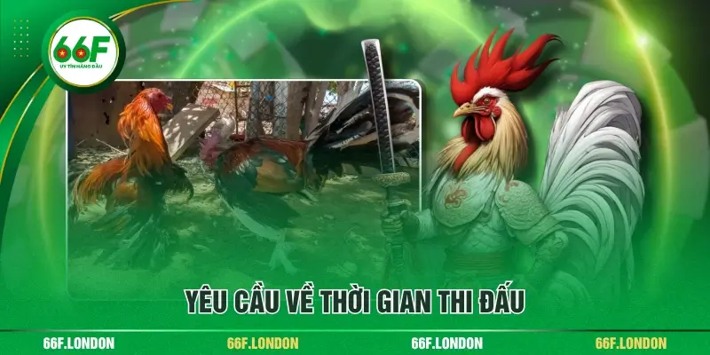 Phổ Cập Luật Đá Gà Đòn Và Kỹ Thuật Đỉnh Cao Cho Người Mới - TEBAJO