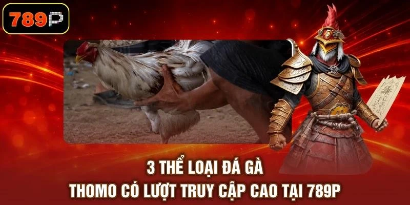 Đá Gà Thomo - Các Hình Thức Chọi Thu Hút Khán Giả Theo Dõi - TEBAJO Đá Gà Thomo - Các Hình Thức Chọi Thu Hút Khán Giả Theo Dõi - TEBAJO
