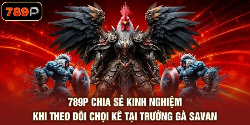 Trường Gà Savan Và 3 Điểm Đặc Sắc Hấp Dẫn Người Xem - TEBAJO Trường Gà Savan Và 3 Điểm Đặc Sắc Hấp Dẫn Người Xem - TEBAJO
