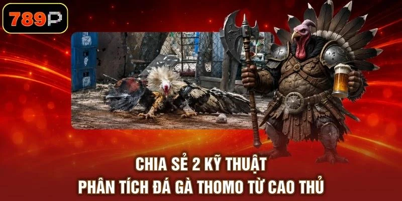 Đá Gà Thomo - Các Hình Thức Chọi Thu Hút Khán Giả Theo Dõi - TEBAJO Đá Gà Thomo - Các Hình Thức Chọi Thu Hút Khán Giả Theo Dõi - TEBAJO