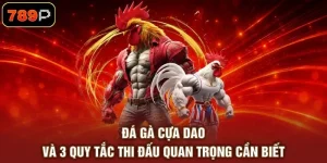 Đá Gà 789P - Theo Dõi Trận Đấu Kịch Tính Hấp Dẫn 2026 - TEBAJO