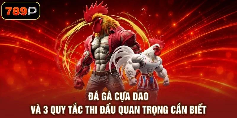 Đá Gà Cựa Dao Và 3 Quy Tắc Thi Đấu Quan Trọng Cần Biết - TEBAJO Đá Gà Cựa Dao Và 3 Quy Tắc Thi Đấu Quan Trọng Cần Biết - TEBAJO