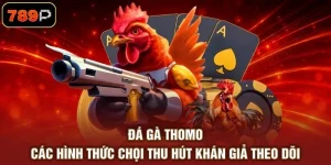 Đá Gà 789P - Theo Dõi Trận Đấu Kịch Tính Hấp Dẫn 2026 - TEBAJO