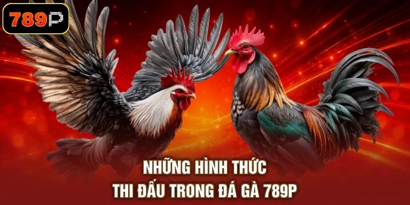 Đá Gà 789P - Theo Dõi Trận Đấu Kịch Tính Hấp Dẫn 2026 - TEBAJO