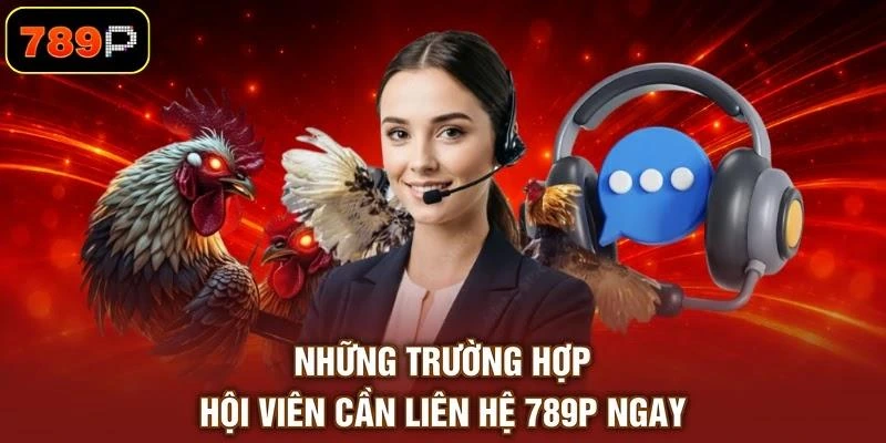 Liên Hệ 789P Miễn Phí | Đội Ngũ Nhân Viên Phục Vụ 24/7 - TEBAJO Liên Hệ 789P Miễn Phí | Đội Ngũ Nhân Viên Phục Vụ 24/7 - TEBAJO
