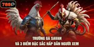 Đá Gà 789P - Theo Dõi Trận Đấu Kịch Tính Hấp Dẫn 2026 - TEBAJO