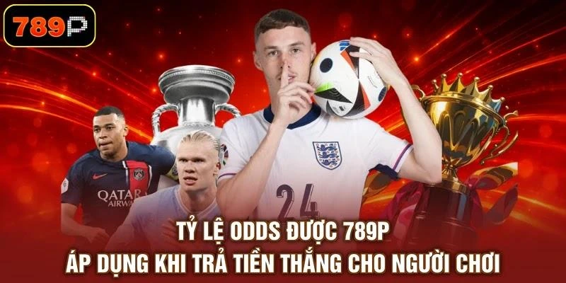 Tỷ Lệ Odds - 3 Loại Hình Phổ Biến Trên Thị Trường Giải Trí - TEBAJO Tỷ Lệ Odds - 3 Loại Hình Phổ Biến Trên Thị Trường Giải Trí - TEBAJO